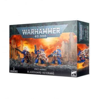 Warhammer 40,000 - Space Marines Bladeguard Veterans 